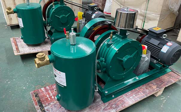 回轉(zhuǎn)鼓風(fēng)機(jī)抽空現(xiàn)象需要注意