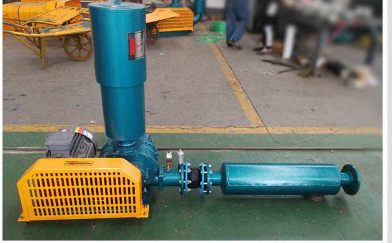 羅茨風(fēng)機(jī)為什么會(huì)被防范應(yīng)用？